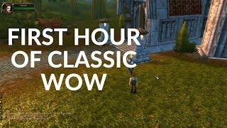 The First Hour of Classic WoW (Live Stream in 2 Hours)