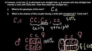 How to solve simple Mendelian genetics problems