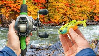 Fishing UNRELEASED Lures For GIANT Fall Bass (Multiple Big Fish)