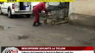 descoperire socanta la ticleni