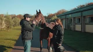 Racehorse Lotto Christmas Raffle - Filly training well reports Hayley Turner