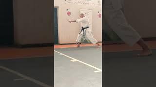 karatenomichi world Federation, seminar by Mourad Saihia Sensei