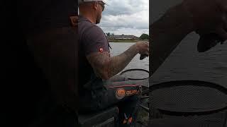 EPIC BIG CARP!!!!! #fishing #carp #fish #carpangling #bigcarp #carpangler #carpfish #lake