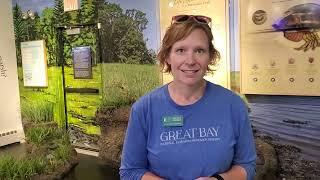 NH FISH AND GAME DEPARTMENT Great Bay Discovery Center is Wild Today.