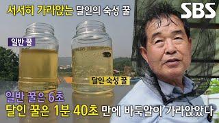 굉장한 밀도 자랑하는 꿀벌 달인의 ‘숙성 꿀’