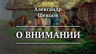 О Внимании. Йога | Александр Шевцов