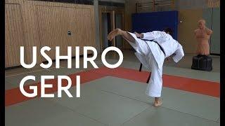 USHIRO GERI - karate back kick - TEAM KI