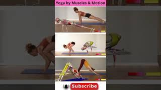 Yoga by Muscles and Motion #shorts