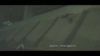 Bam Margera Skateboarding