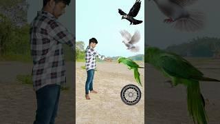 Tire To Parrot / Peacock / Crow - Funny vfx Magic video #shorts #viral #vfx #ytshorts