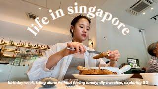 life in singapore | birthday week, being alone without feeling lonely, diy hwachae, exploring SG