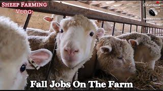 Fall Jobs On The Farm