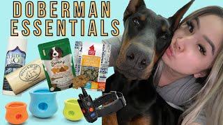 MUST HAVE DOBERMAN SUPPLIES