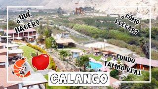 CALANGO - MALA LIMA: MANZANAS, CAMARONES, FUNDO TAMBO REAL & MÁS!