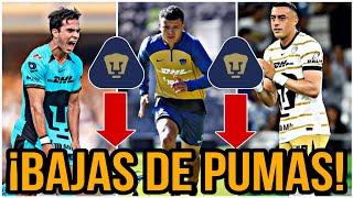  ÚLTIMA HORA LAS BAJAS QUE TENDRÁ PUMAS | LLEGARÍA A PUMAS |  REFUERZOS PUMAS 2024