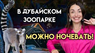 Я провела ночь в зоопарке Дубая! Что случилось с животными