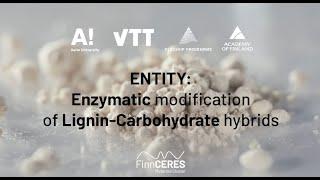 Harnessing the Power of Enzymes: Unlocking Biomass Potential in the Entity Project