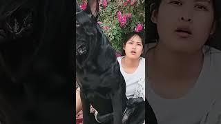 This dog is creating the new generation 719