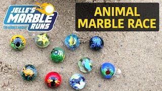 Animal Marble Race - Jelle's Marble Runs