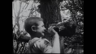 Les Dénicheurs d’oiseaux (1904) The Nest Robbers (Pathé)