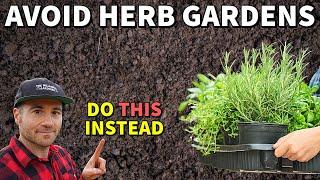 Why Interplanting Herbs Is BETTER Than Growing An Herb Garden