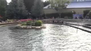 Water ride six flags