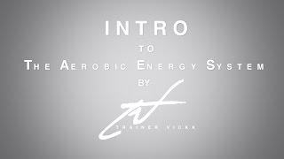 Trainer Vickk - Intro to The Aerobic Energy System