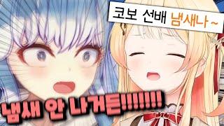 코보VS카나데 싸움수준 ㄹㅇ 실화냐? 진짜 가슴이 옹졸해진다... [홀로라이브 | 코보 카나에루 | 오토노세 카나데