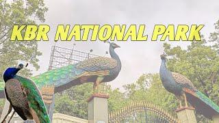 Hyderabad's Hidden Gem The Enchanting Peacocks of KBR Park  #hyderabad #kbrpark #nature