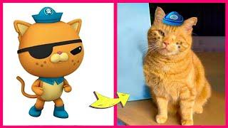 Octonauts Characters And Their Monster, Favorite Pets & Other Favortes! | Kwazii & Captain Barnacles