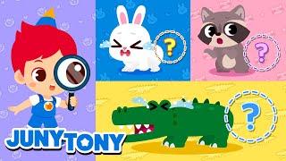 Please Find Our Tails | Who Took the Tails? | Animal Songs | Kids Songs | JunyTony