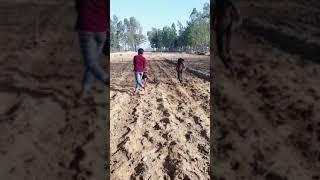 Idrish Aalam new video(2)