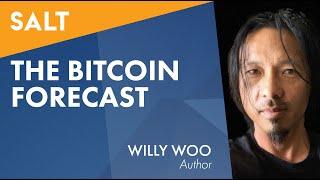 Willy Woo: The Bitcoin Forecast | SALT Talks #208