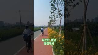 꽃길 #봄 #행복 #휴식 #1분힐링 #자전거 #편안함 #꿈길