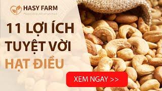 Lợi ích của hạt điều: 11 tác dụng đối với sức khỏe mà không phải ai cũng biết