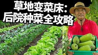 草地变菜床：后院种菜全攻略