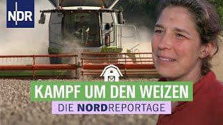 Franziska muss den Weizen retten | Trecker, Typen, Erntezeit 4 | Die Nordreportage | NDR