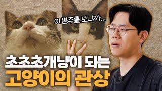 내가 개냥이가 될 상인가? 고양이 관상소 드디어 오픈