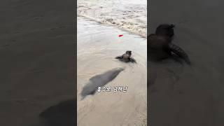 홍수속 구조현장