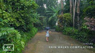 4 Hours of Our Rain Walks Compilation | Relaxing ASMR sounds of rain on umbrella for sleep and study