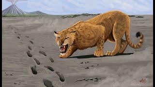 Panthera: The Evolution of the Big Cats