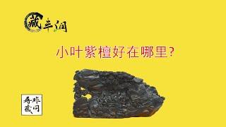 《非同寻藏》小叶紫檀好在哪里?哪里产的小叶紫檀最好?它有什么特点?