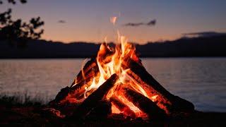 Live - Crackling Campfire at the Lake with Chirping Crickets at Dusk