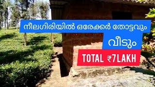 1 Acre Tea Garden With House For Sale | Nilgiris | Tamil Nadu