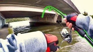 Catching Fish In INSANE Conditions! - Georges River Fishing