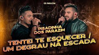 Os Parazim - Tentei Te Esquecer / Um Degrau Na Escada (Pisadinha dos Parazim)