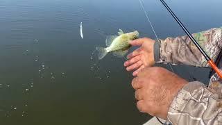 Fishing Technique for crappie