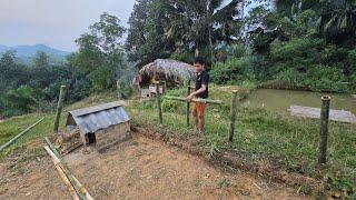 Orphan Boy: Build a beautiful new fence, freshen up the front yard!