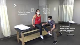 Introduction to Manual Muscle Testing