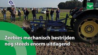 Zeebies mechanisch bestrijden nog steeds enorm uitdagend